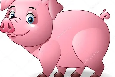Pig