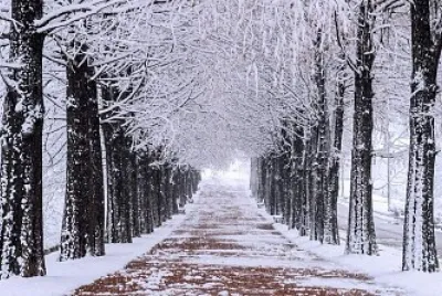 winter jigsaw puzzle