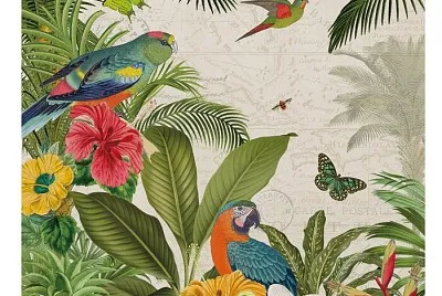 Parrot Paradise