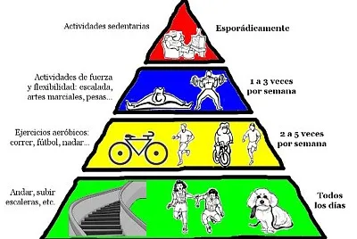 piramide de ejercicios fisicos