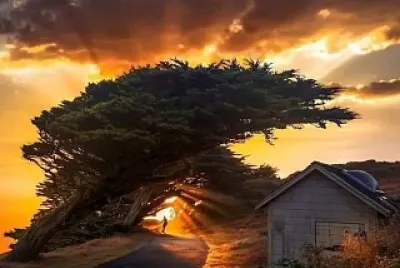 HERMOSO ATARDECER jigsaw puzzle