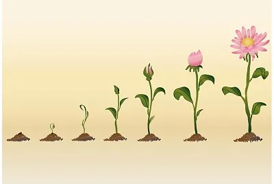 פאזל של ¿Qué palabra se relaciona con esta imagen?