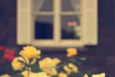 פאזל של yellow