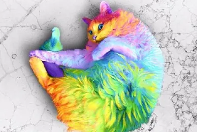 Colorful Cat