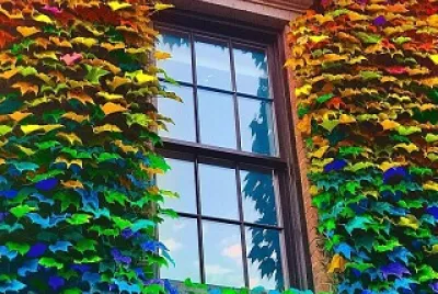 פאזל של Colorful Window Foilage