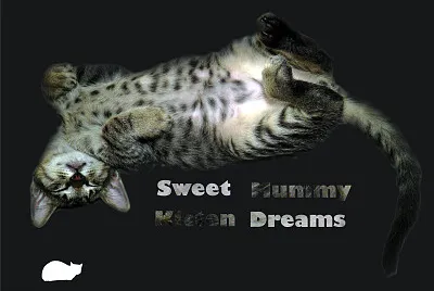 Mummy dreams 2