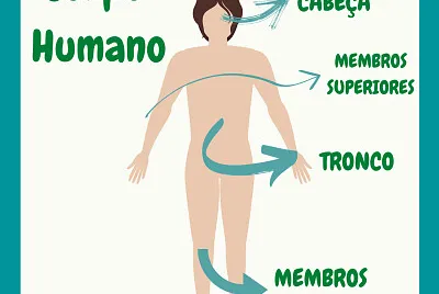 CORPO HUMANO jigsaw puzzle