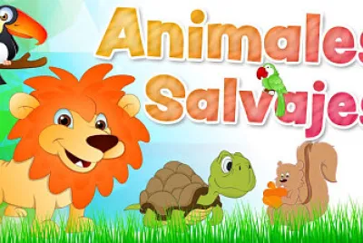 Animales salvajes