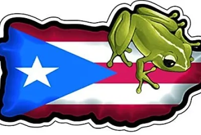 COQUI DE PUERTO RICO jigsaw puzzle