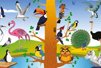 dif.aves