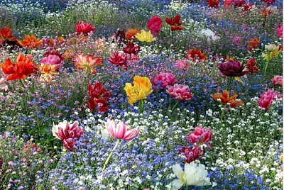 printemps