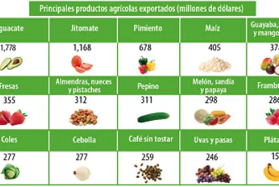 Cultivos agrícolas en México