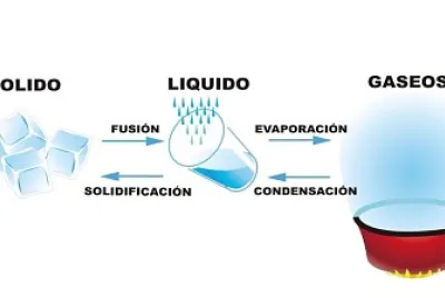 ciencias