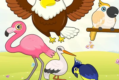 aves1