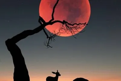 פאזל של Paisaje 4