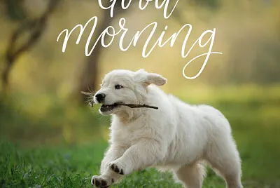 good morning