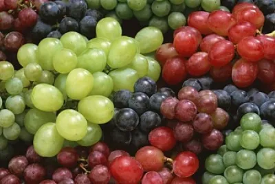 VARIEDAD DE UVAS jigsaw puzzle