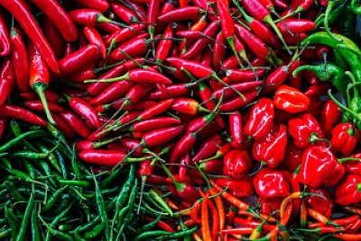 CHILES MEXICANOS jigsaw puzzle