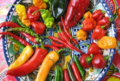 VARIEDAD DE CHILES jigsaw puzzle