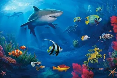 Animales marinos jigsaw puzzle