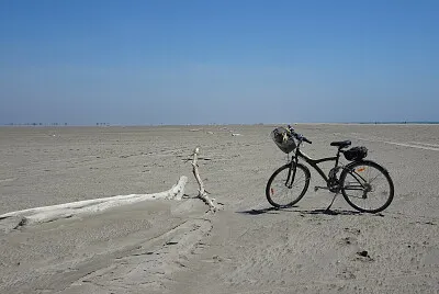 Camargue jigsaw puzzle