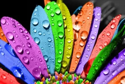couleur