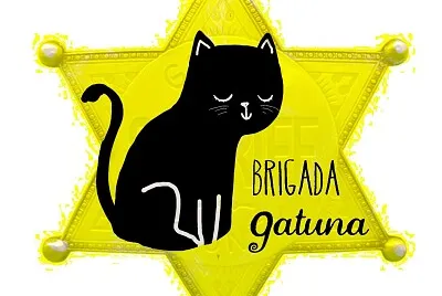 cats2