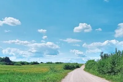 Estrada de terra
