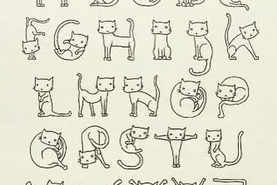 cats3