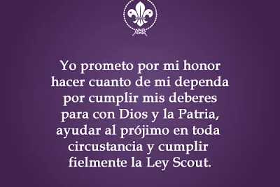 promesa scout