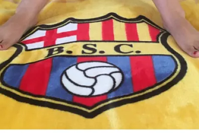 Bsc