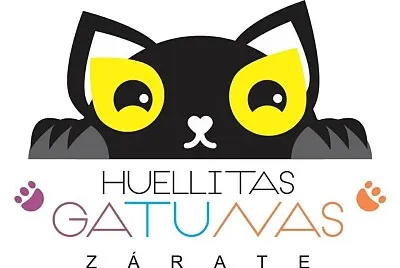 cats5