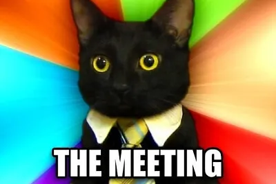 cats7