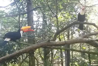 foz do iguazu