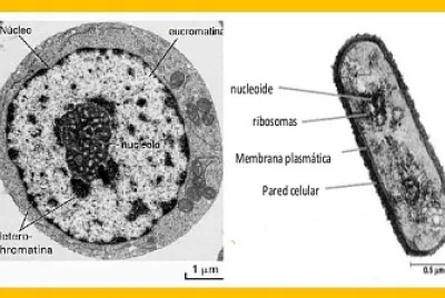 BIOLOGY