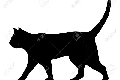 cats9
