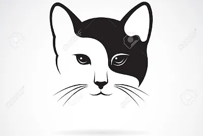 cats10