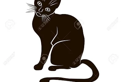 cats11