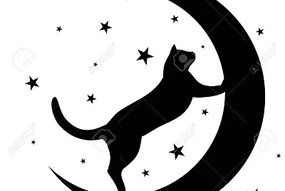 cats13