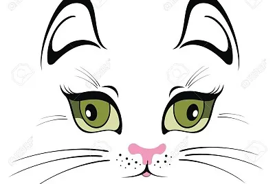 cats16