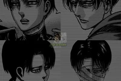 Levi