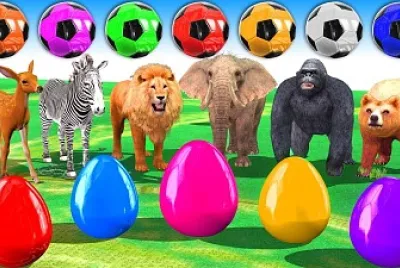 colors