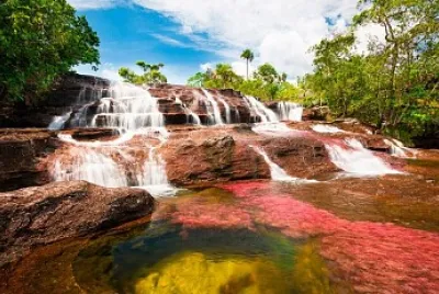 Rio de los Siete Colores-Colombia jigsaw puzzle