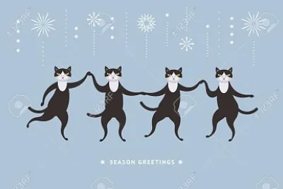cats20
