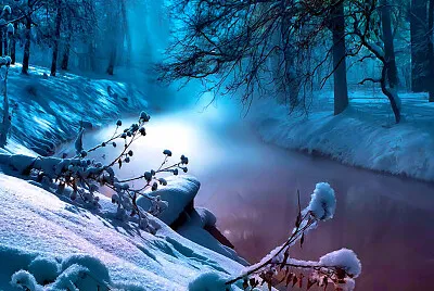 331- BOSQUE EN INVIERNO jigsaw puzzle
