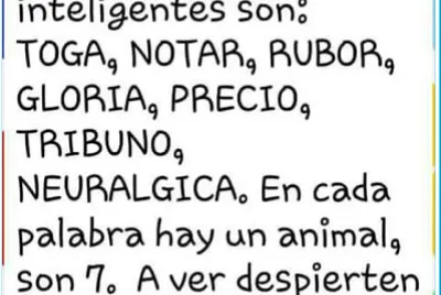Animales
