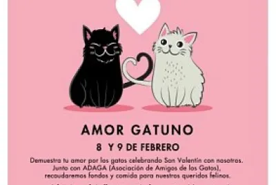 cats22