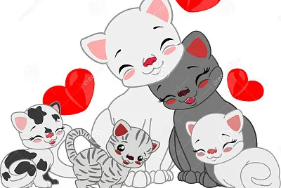 cats25