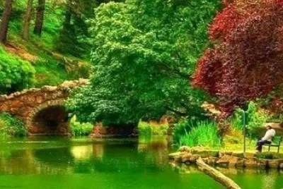 estanque jigsaw puzzle