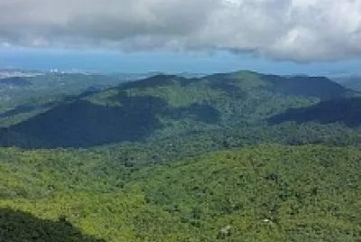פאזל של El Yunque 1, 2015, Puerto Rico
